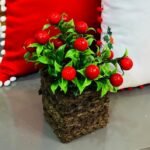 Cherry Box Basket Christmas Decoration