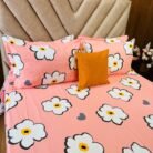 WhatsApp Image 2026-01-06 at 11.36.18 AM (1)