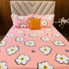 WhatsApp Image 2026-01-06 at 11.36.20 AM (1)