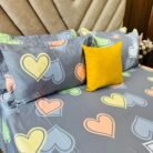 WhatsApp Image 2026-01-06 at 11.36.22 AM