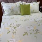 WhatsApp Image 2026-01-06 at 11.36.23 AM