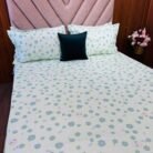 WhatsApp Image 2026-01-24 at 1.03.55 PM (1)