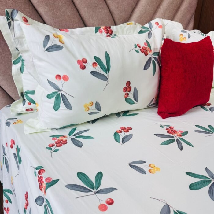 WhatsApp Image 2026-02-25 at 11.05.41 (2)