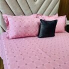 WhatsApp Image 2026-03-03 at 10.40.58 (1)