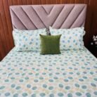 WhatsApp Image 2026-03-03 at 10.41.02