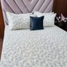 WhatsApp Image 2026-03-03 at 10.41.07