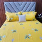 WhatsApp Image 2026-03-03 at 10.41.07 (2)